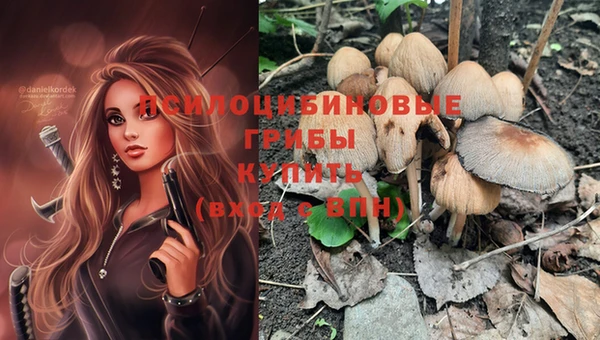 PSILOCYBIN Алексин