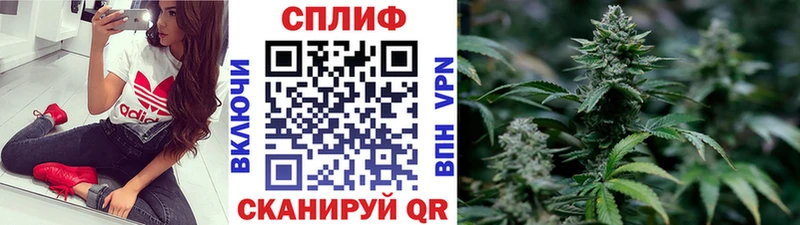 Канабис AK-47  Зея 